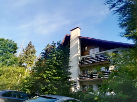 Property building, Day, Parking