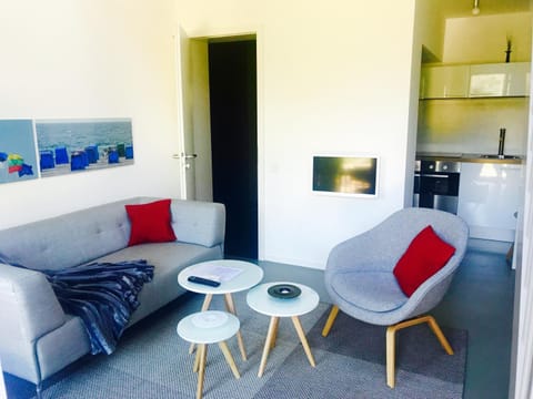 TV and multimedia, Kitchen or kitchenette, Living room, Photo of the whole room, Seating area