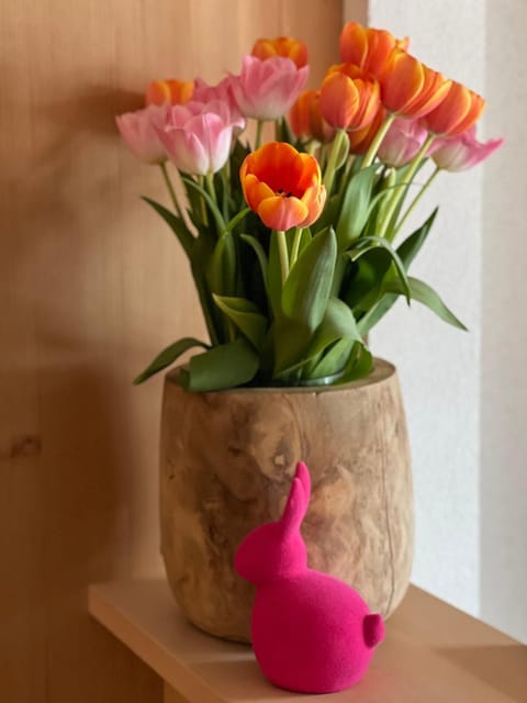 Appartements Birkenhof Apartment in Lech