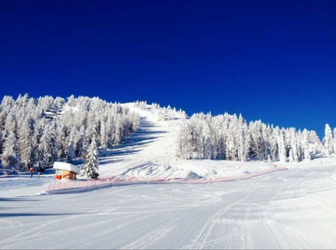 Hotel Gran Vacanze Rooms & Apartments Hotel in Dimaro