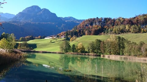 Natural landscape