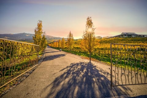Heavenly View Apartment in Chelan (In Town)