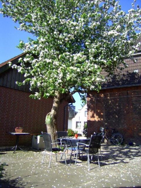 Patio, BBQ facilities, Garden view