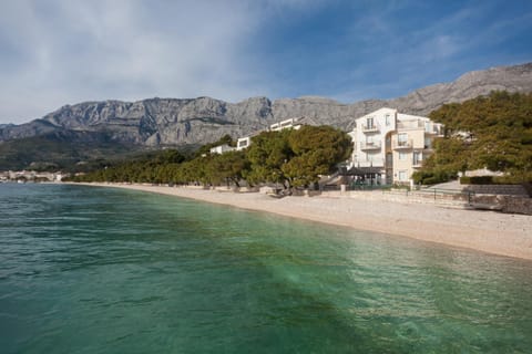 Neighbourhood, Natural landscape, Bird's eye view, Beach