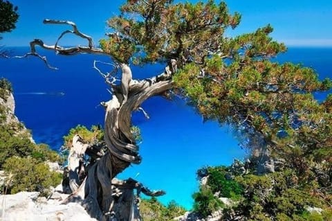 Day, Natural landscape, Sea view