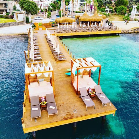 Day, Beach, Sea view, sunbed