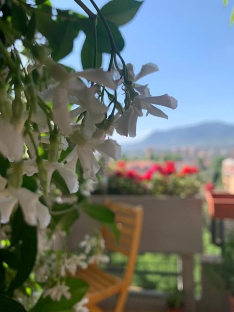 Bed and Breakfast San Valentino Bed and Breakfast in Terni