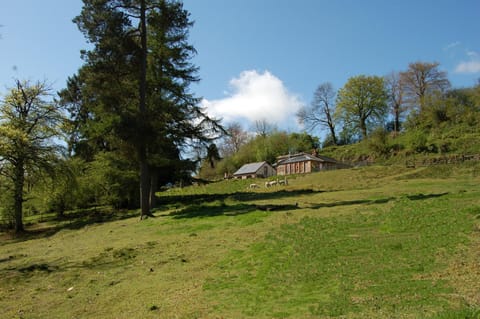Property building, Natural landscape