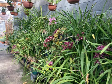 Home & Away St Leonards House in Tasmania