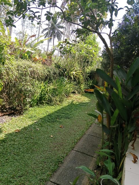 Day, Garden view