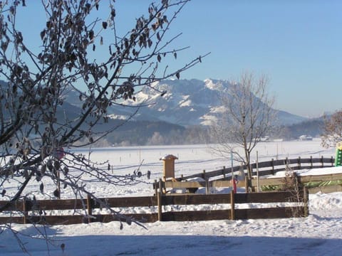 Haus Schmiederer Apartment in Salzburgerland