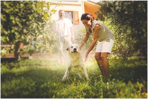 Agriturismo Costa Etrusca Farm Stay in San Vincenzo