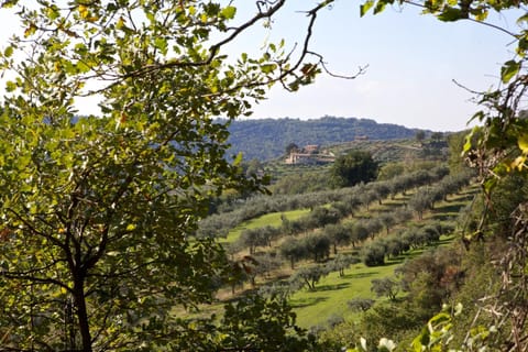 Natural landscape, Hiking