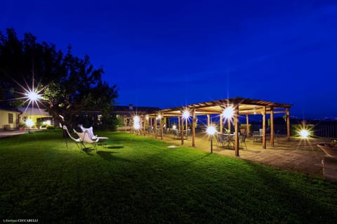 Patio, Night, Garden, Library