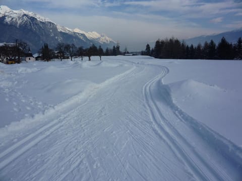 Day, Natural landscape, Winter