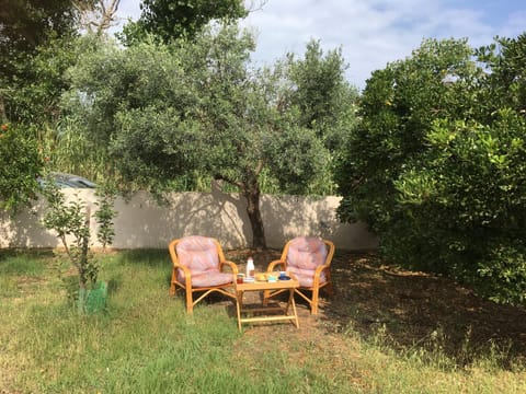 Day, Summer, Garden, Garden, On site, Food, Garden view, Breakfast, Breakfast