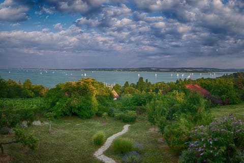 Natural landscape, Garden view, Lake view