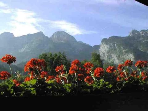 View (from property/room), Balcony/Terrace