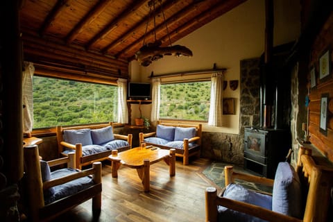 Living room, Photo of the whole room