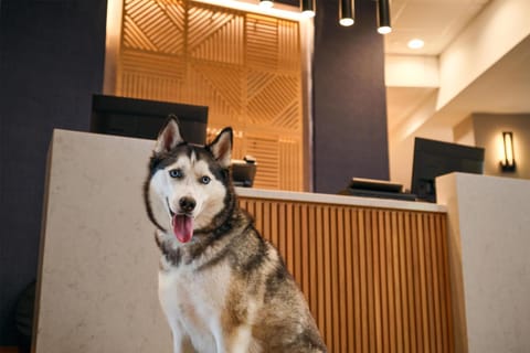 Lobby or reception