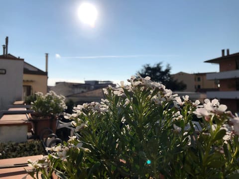 Da Paola Bed and Breakfast in Pisa