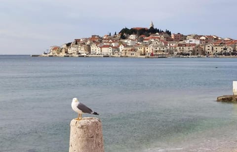 Villa Eni Villa in Šibenik-Knin County, Croatia