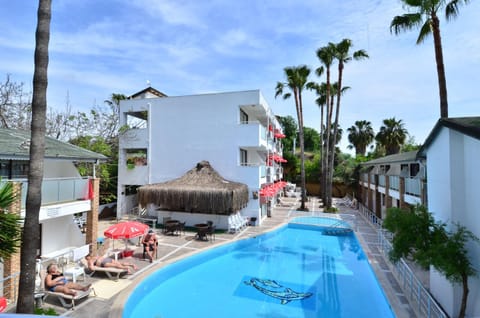 Property building, Patio, Day, Garden, Garden view, Pool view, Swimming pool, sunbed