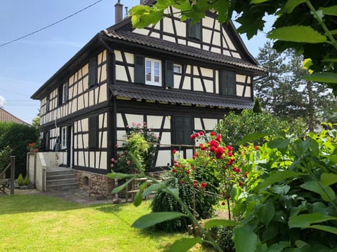 Property building, Garden, Garden