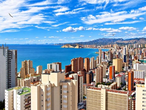 City view, Mountain view, Sea view