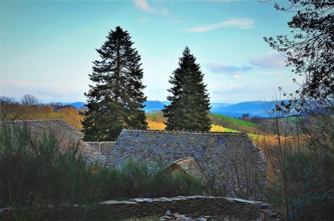 Property building, Garden, Autumn, On site