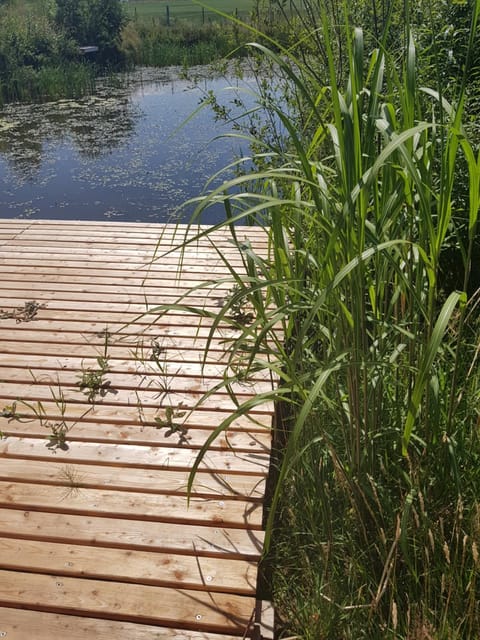 Property building, Spring, Day, Natural landscape, Fishing