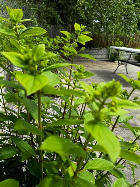 Domek Machowino w Dolinie nad Stawem Apartment in Pomeranian Voivodeship