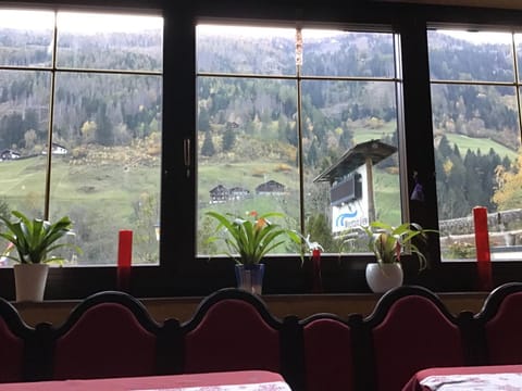 Guesthouse Mountain View Bed and Breakfast in Carinthia, Austria