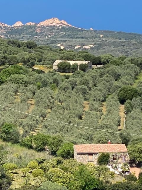 Stazzo Isola Rossa di Gallura House in Sardinia