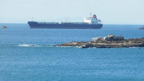 C Cottage Right On The C Diaz Beach Mossel Bay South Africa Chalet in Western Cape