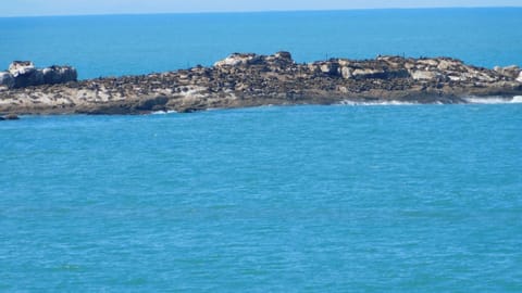 C Cottage Right On The C Diaz Beach Mossel Bay South Africa Chalet in Western Cape