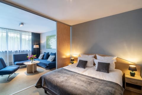 Bed, Living room, Photo of the whole room, Seating area, Bedroom