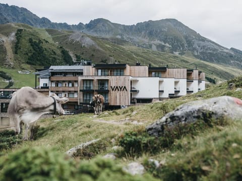 Property building, Restaurant/places to eat, Day, Natural landscape, Summer, Spa and wellness centre/facilities, Animals, Mountain view, Area and facilities, Swimming pool, Breakfast
