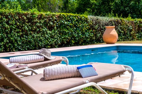 Day, Garden, Swimming pool