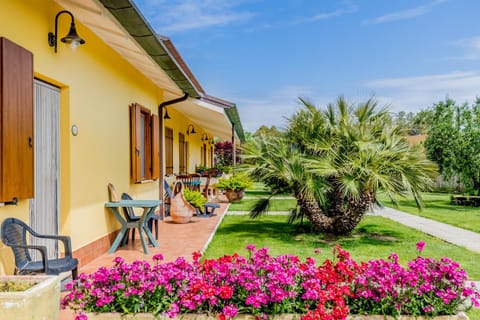 Property building, Garden, Garden, Garden view, Garden view