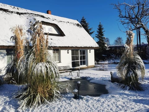 Property building, Winter