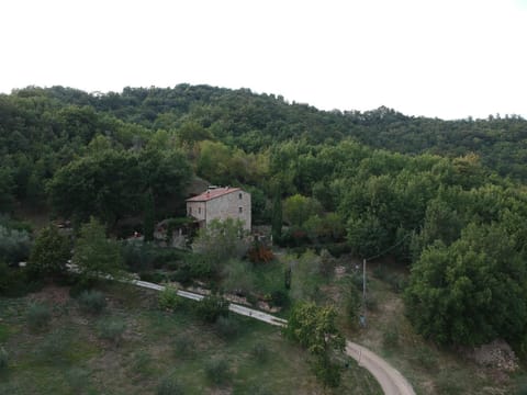 Podere Piandicava Apartment in Tuscany