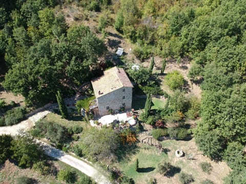 Podere Piandicava Apartment in Tuscany