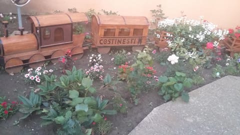 Property building, Garden