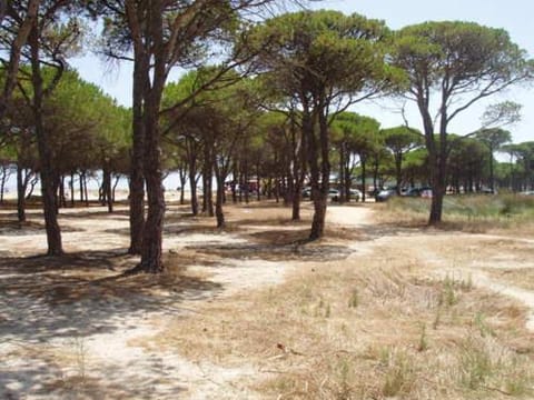 Casa Alice Apartment in Budoni