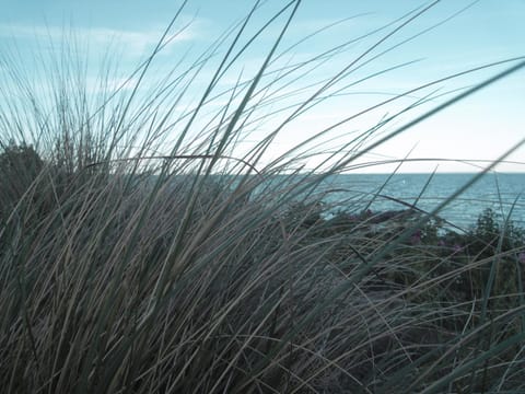 Natural landscape, Hiking, Sea view