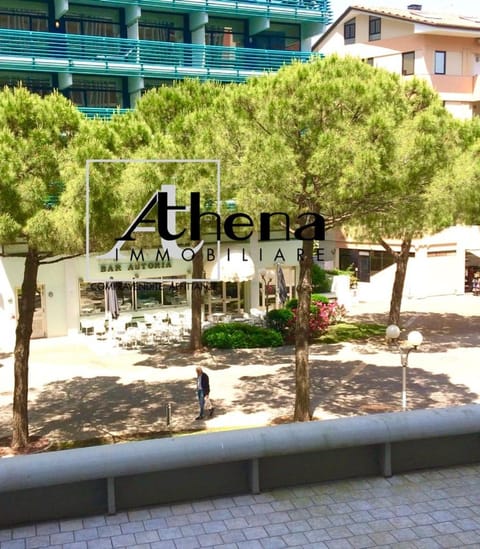 View (from property/room), City view