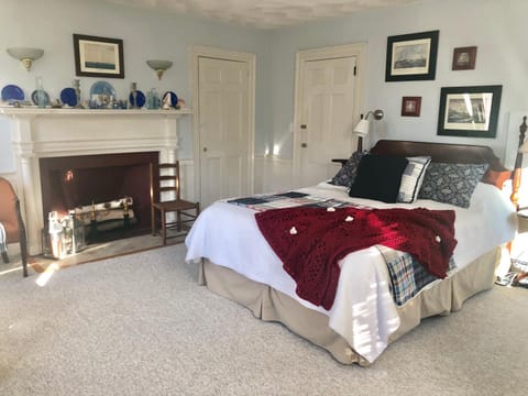 Bed, Photo of the whole room, Bedroom, fireplace