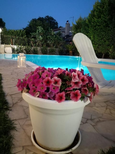 Pool view