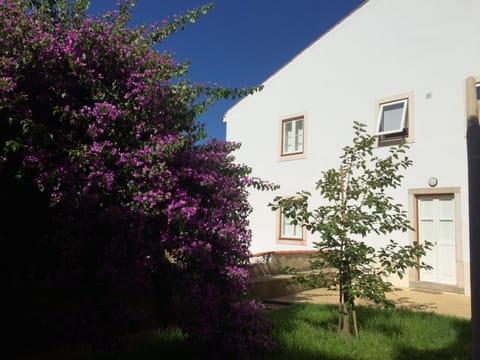 Property building, Garden, Garden